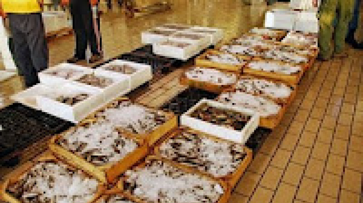 Ψάρια 83 κιλών κατασχέθηκαν στην ιχθυόσκαλα Νέας Μηχανιώνας